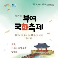 궁남지 연못 따라 60m 국화터널…부여국화축제 30일 개막